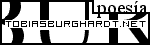 tobiasburghardt.net